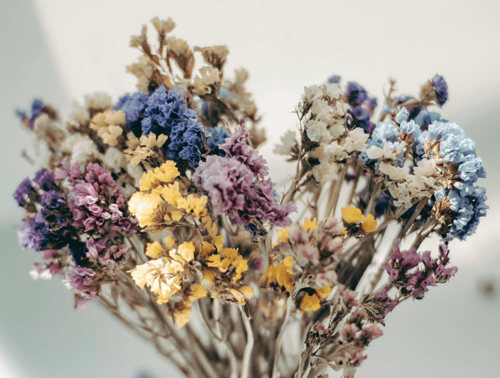 Natural Flower Craft